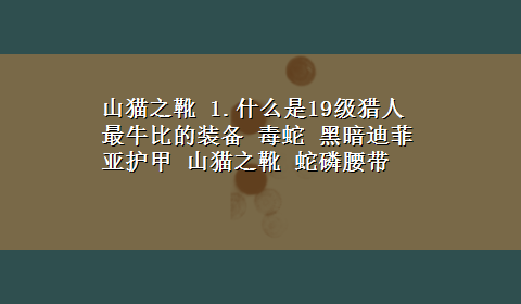 山猫之靴 1.什么是19级猎人最牛比的装备 毒蛇 黑暗迪菲亚护甲 山猫之靴 蛇磷腰带