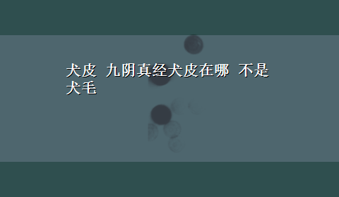 犬皮 九阴真经犬皮在哪 不是犬毛