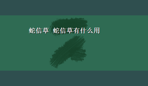 蛇信草 蛇信草有什么用