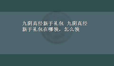 九阴真经新手礼包 九阴真经新手礼包在哪领，怎么领