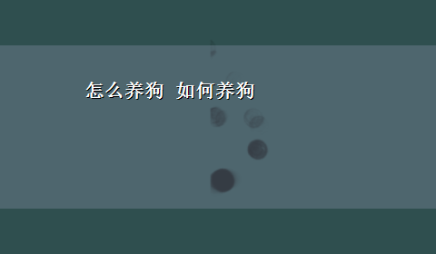 怎么养狗 如何养狗