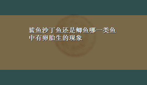 鲨鱼沙丁鱼还是鲫鱼哪一类鱼中有卵胎生的现象