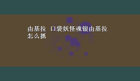 由基拉 口袋妖怪魂银由基拉怎么抓