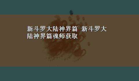 新斗罗大陆神界篇 新斗罗大陆神界篇魂师获取