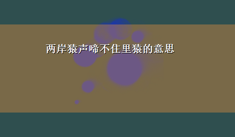 两岸猿声啼不住里猿的意思