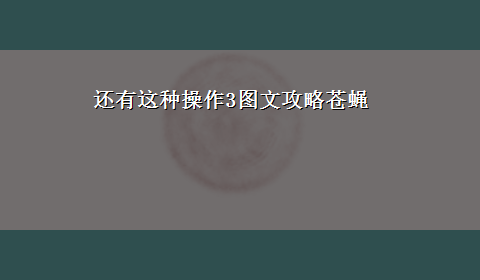 还有这种操作3图文攻略苍蝇