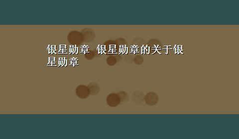 银星勋章 银星勋章的关于银星勋章