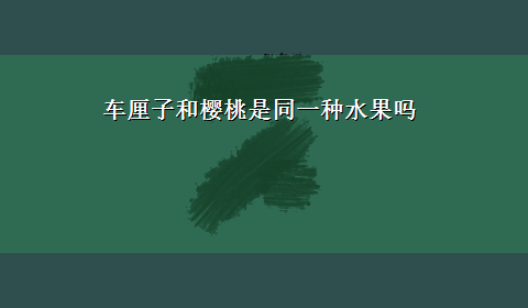 车厘子和樱桃是同一种水果吗