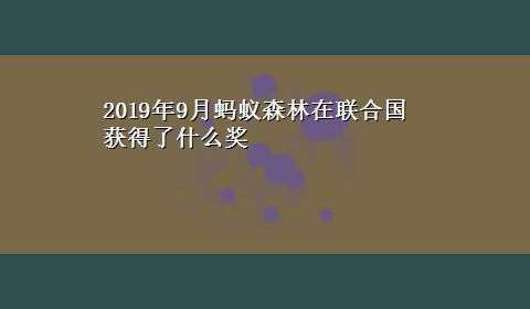 2019年9月蚂蚁森林在联合国获得了什么奖