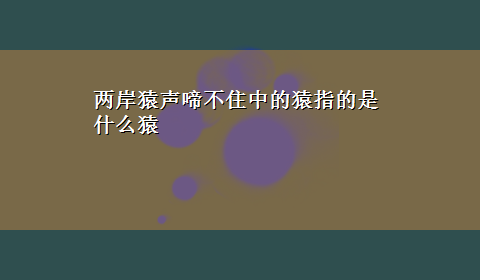 两岸猿声啼不住中的猿指的是什么猿