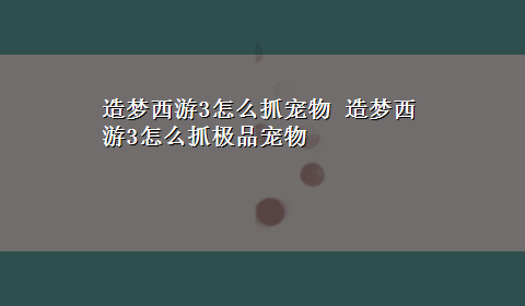 造梦西游3怎么抓宠物 造梦西游3怎么抓极品宠物