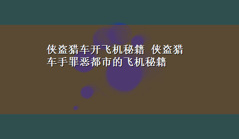 侠盗猎车开飞机秘籍 侠盗猎车手罪恶都市的飞机秘籍