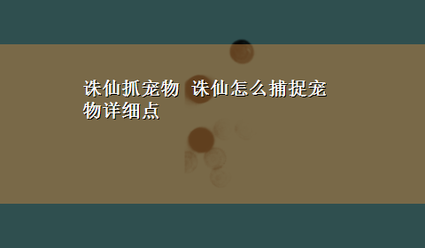 诛仙抓宠物 诛仙怎么捕捉宠物详细点