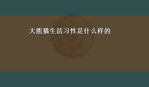 大熊猫生活习性是什么样的