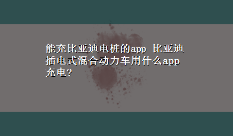 能充比亚迪电桩的app 比亚迪插电式混合动力车用什么app充电?