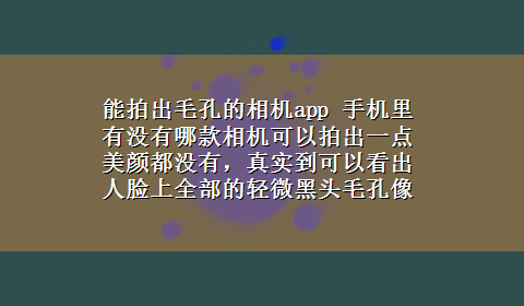 能拍出毛孔的相机app 手机里有没有哪款相机可以拍出一点美颜都没有，真实到可以看出人脸上全部的轻微黑头毛孔像数还高的？200