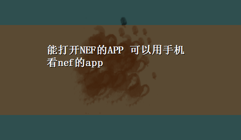 能打开NEF的APP 可以用手机看nef的app