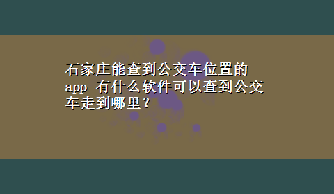 石家庄能查到公交车位置的app 有什么软件可以查到公交车走到哪里？