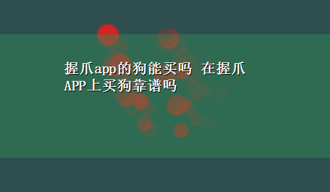 握爪app的狗能买吗 在握爪APP上买狗靠谱吗