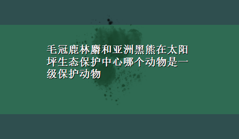 毛冠鹿林麝和亚洲黑熊在太阳坪生态保护中心哪个动物是一级保护动物