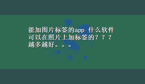 能加图片标签的app 什么软件可以在照片上加标签的？？？越多越好。。。