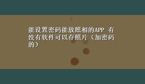 能设置密码能放照相的APP 有没有软件可以存照片（加密码的）