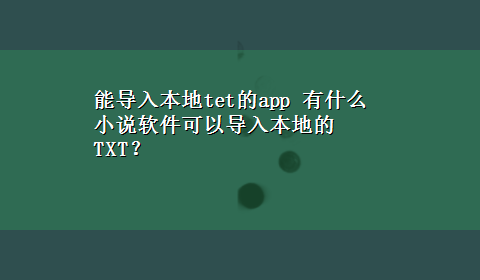 能导入本地tet的app 有什么小说软件可以导入本地的TXT？