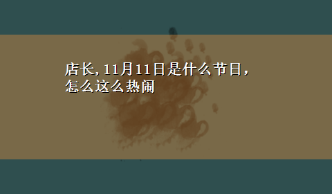 店长,11月11日是什么节日，怎么这么热闹