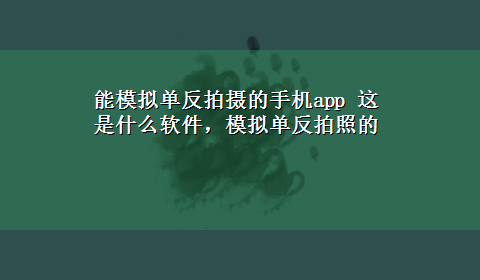 能模拟单反拍摄的手机app 这是什么软件，模拟单反拍照的