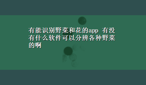 有能识别野菜和花的app 有没有什么软件可以分辨各种野菜的啊