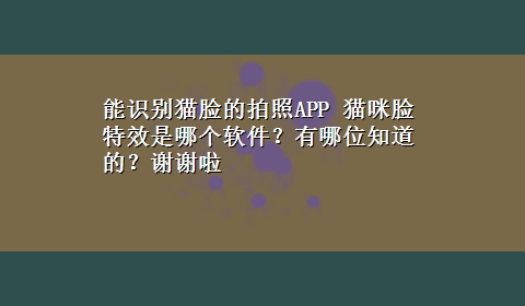 能识别猫脸的拍照APP 猫咪脸特效是哪个软件？有哪位知道的？谢谢啦