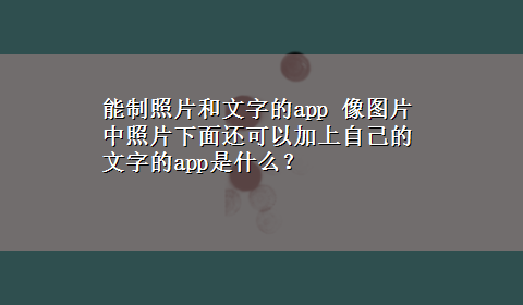 能制照片和文字的app 像图片中照片下面还可以加上自己的文字的app是什么？