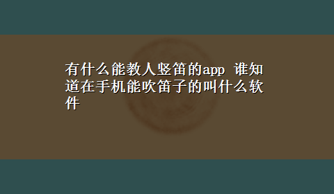 有什么能教人竖笛的app 谁知道在手机能吹笛子的叫什么软件