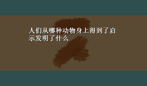 人们从哪种动物身上得到了启示发明了什么