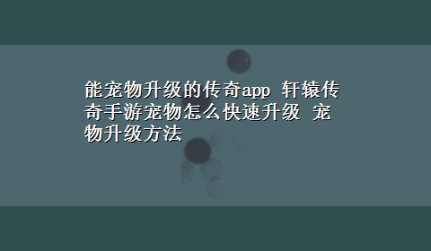 能宠物升级的传奇app 轩辕传奇手游宠物怎么快速升级 宠物升级方法