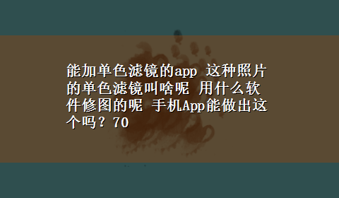 能加单色滤镜的app 这种照片的单色滤镜叫啥呢 用什么软件修图的呢 手机App能做出这个吗？70