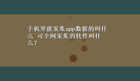 手机里能采集app数据的叫什么 可全网采集的软件叫什么？