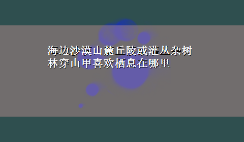 海边沙漠山麓丘陵或灌丛杂树林穿山甲喜欢栖息在哪里