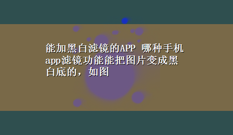 能加黑白滤镜的APP 哪种手机app滤镜功能能把图片变成黑白底的，如图