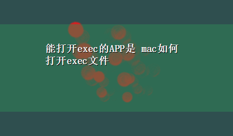 能打开exec的APP是 mac如何打开exec文件