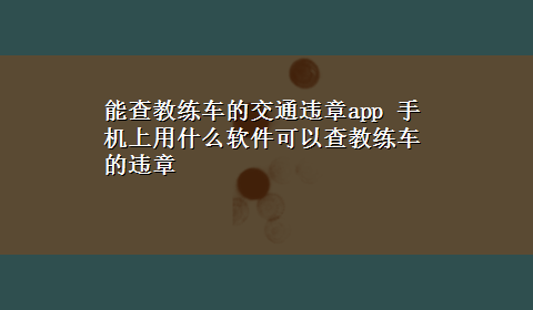 能查教练车的交通违章app 手机上用什么软件可以查教练车的违章