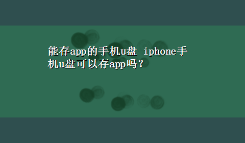 能存app的手机u盘 iphone手机u盘可以存app吗？