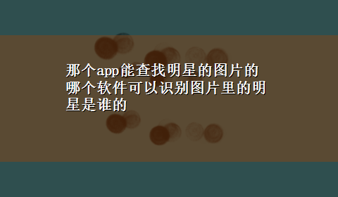 那个app能查找明星的图片的 哪个软件可以识别图片里的明星是谁的