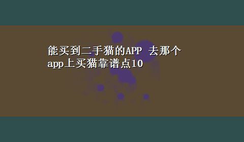 能买到二手猫的APP 去那个app上买猫靠谱点10