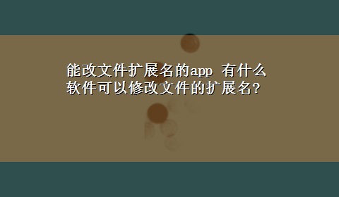 能改文件扩展名的app 有什么软件可以修改文件的扩展名?