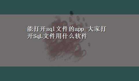 能打开sql文件的app 大家打开SqL文件用什么软件