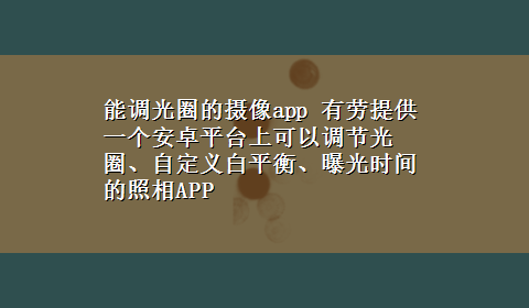 能调光圈的摄像app 有劳提供一个安卓平台上可以调节光圈、自定义白平衡、曝光时间的照相APP