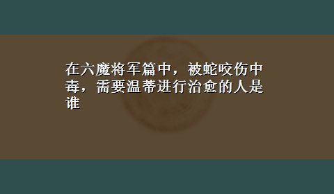 在六魔将军篇中，被蛇咬伤中毒，需要温蒂进行治愈的人是谁