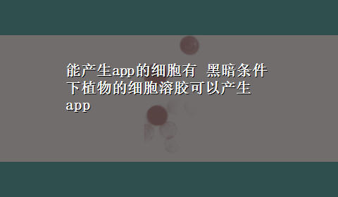 能产生app的细胞有 黑暗条件下植物的细胞溶胶可以产生app