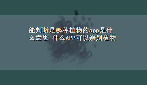 能判断是哪种植物的app是什么意思 什么APP可以辨别植物